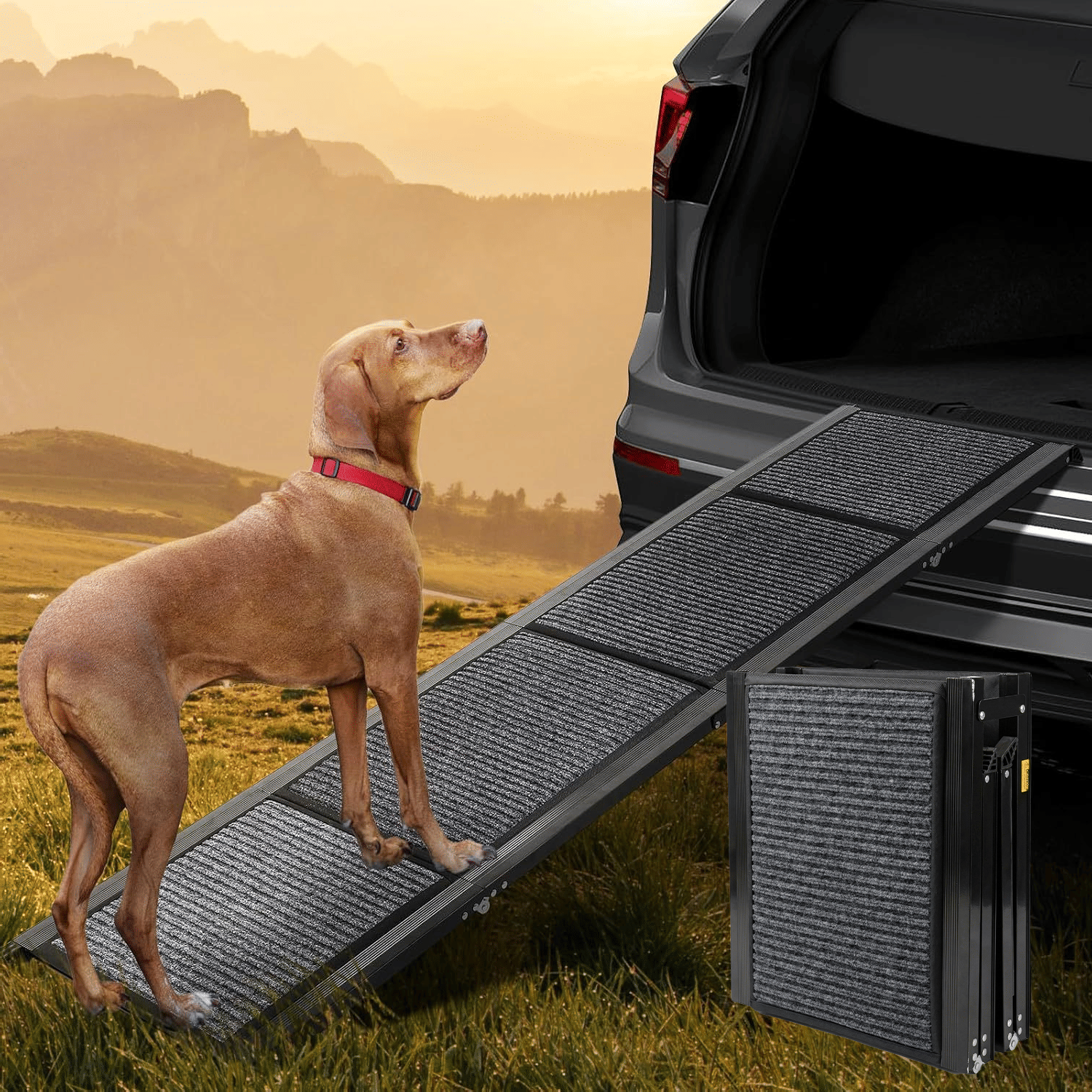 Wide Folding Dog Ramp for Car, SUV & Truck – Portable Pet Ramp