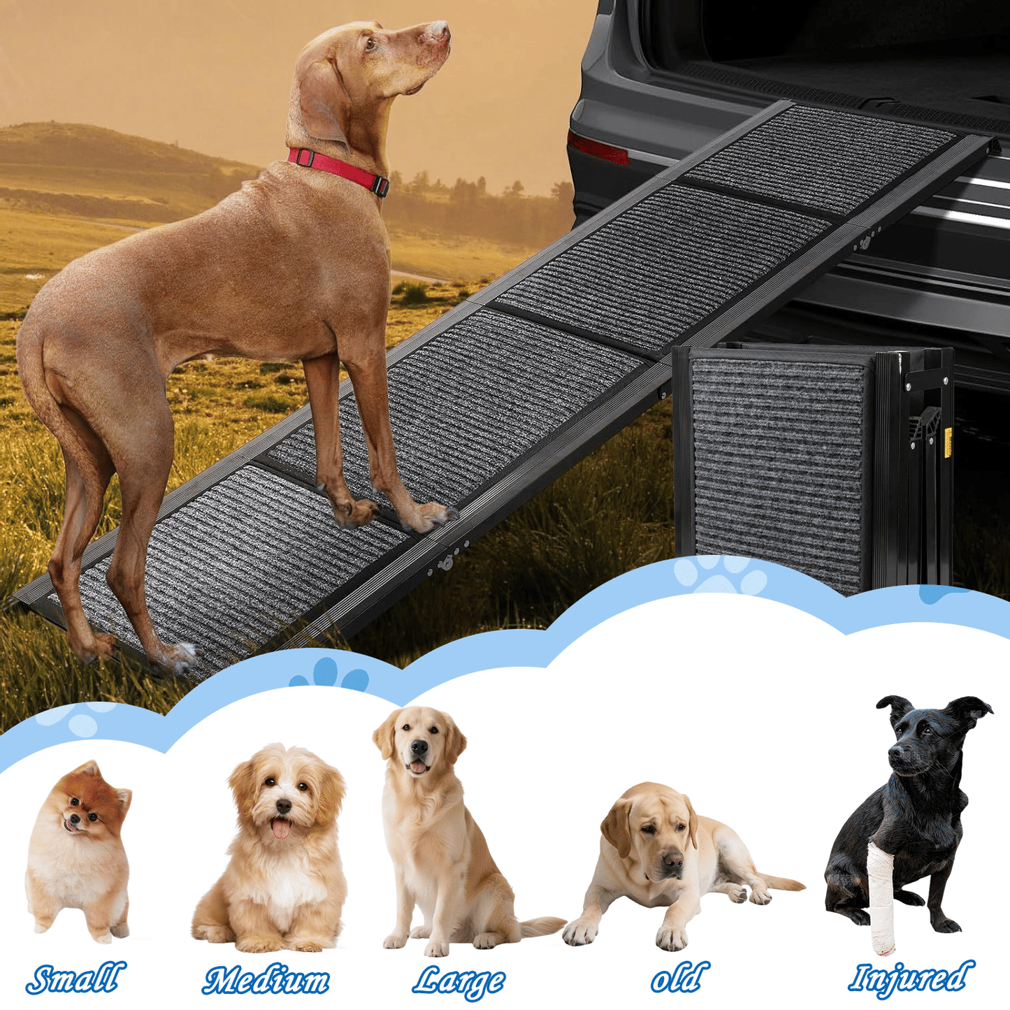 Wide Folding Dog Ramp for Car, SUV & Truck – Portable Pet Ramp