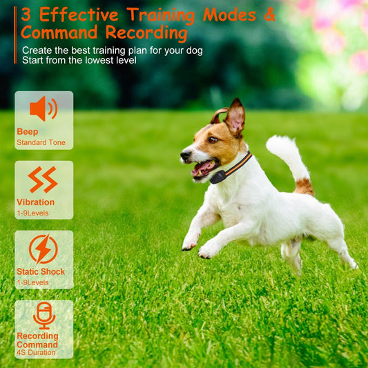 984FT Dog Training Collar IP65 Waterproof Pet Beep Vibration