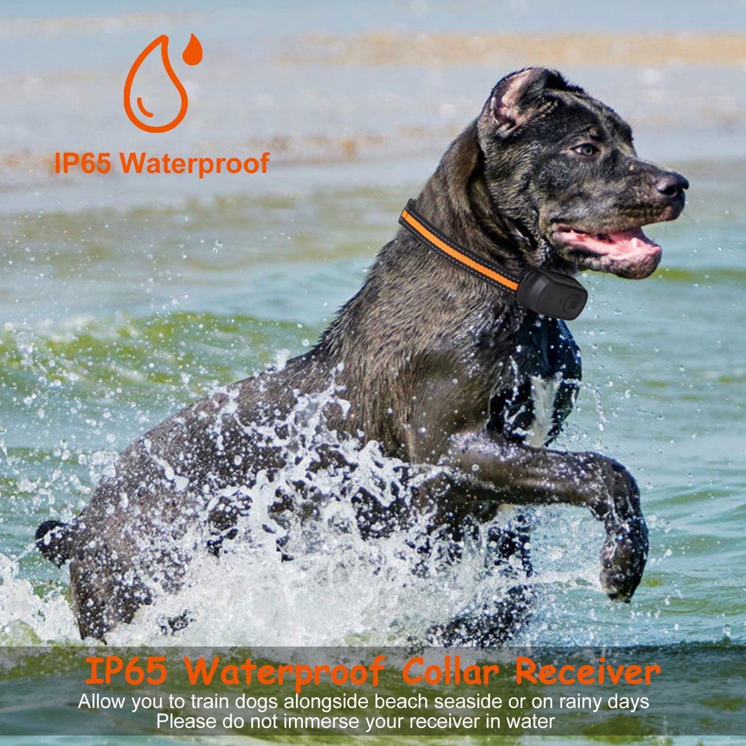 984FT Dog Training Collar IP65 Waterproof Pet Beep Vibration