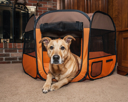 All-Terrain' Lightweight Easy Folding Wire-Framed Collapsible