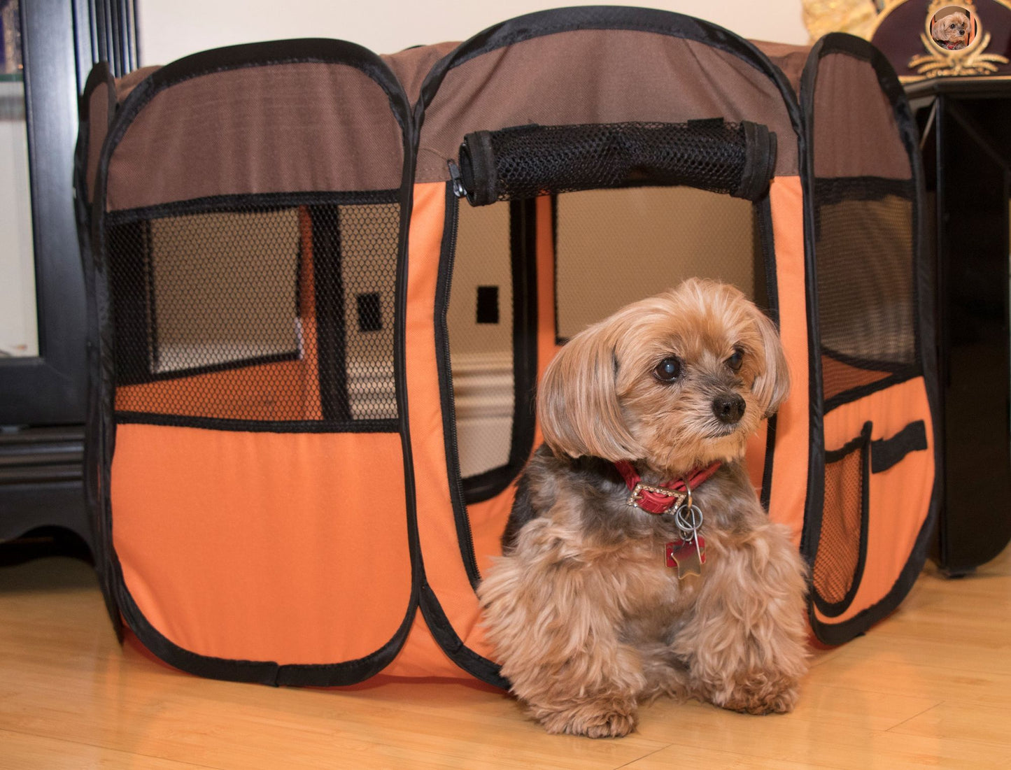 All-Terrain' Lightweight Easy Folding Wire-Framed Collapsible