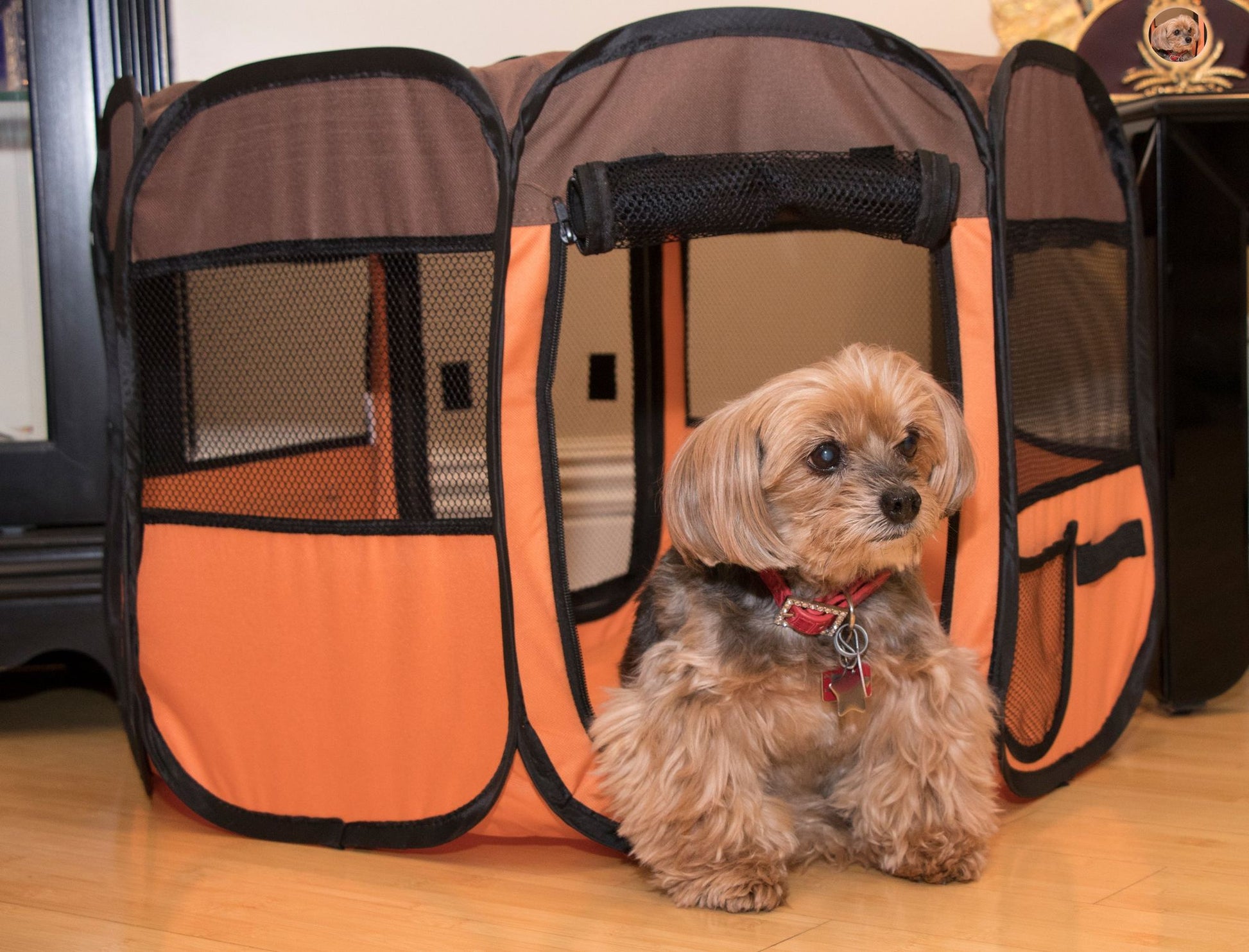 All-Terrain' Lightweight Easy Folding Wire-Framed Collapsible