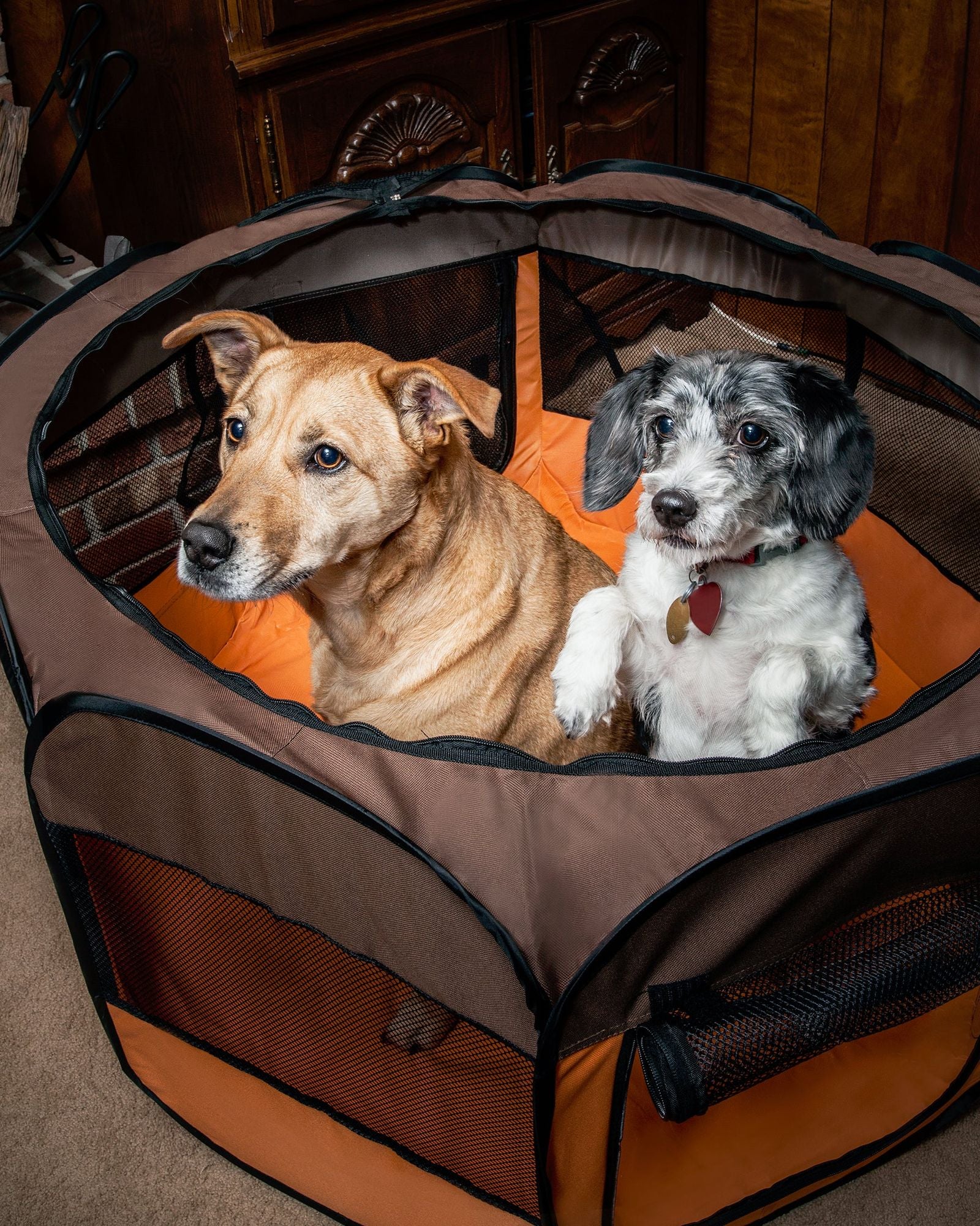 All-Terrain' Lightweight Easy Folding Wire-Framed Collapsible
