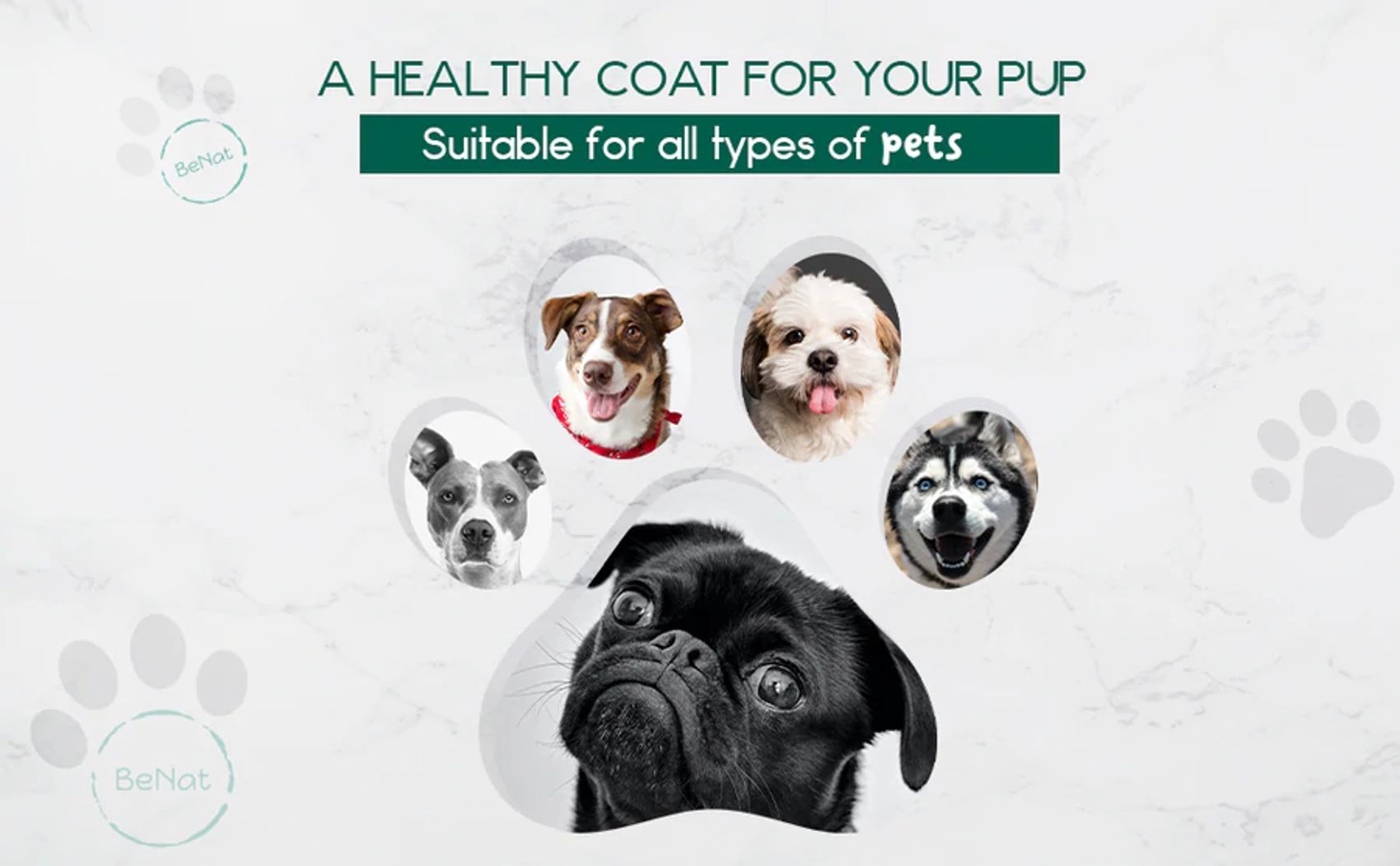 All-Natural 3-Pack Pet Grooming Bundle - Moisturizing Paw & Nose