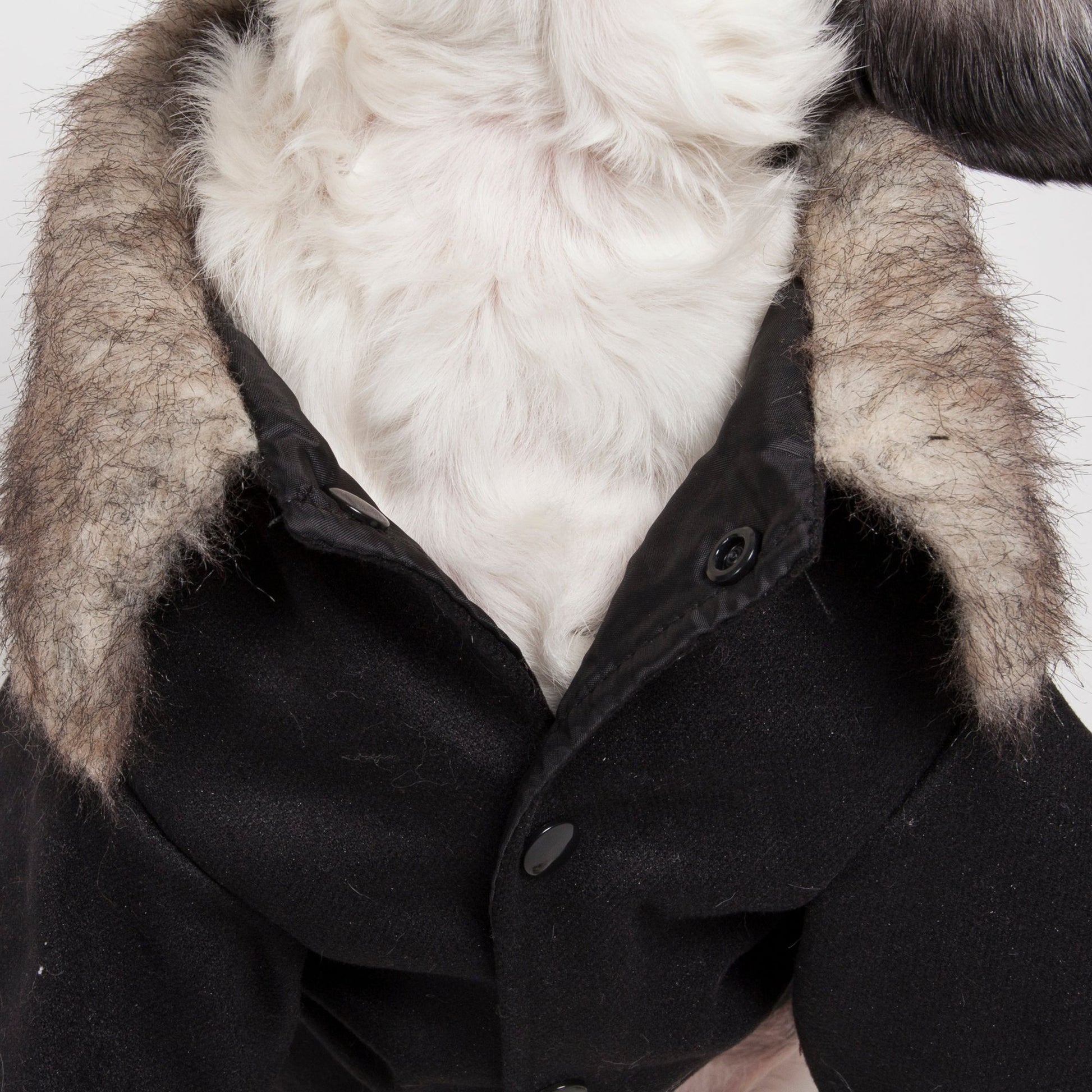 Buttoned Fashion Faux-Fur Collared Wool Pet Coat
