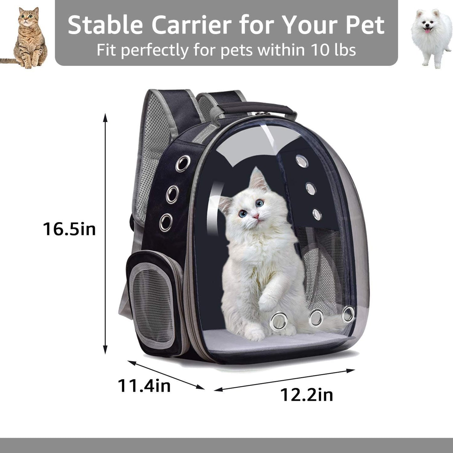 Cat Backpack Carrier Bubble Bag; Small Dog Backpack Carrier