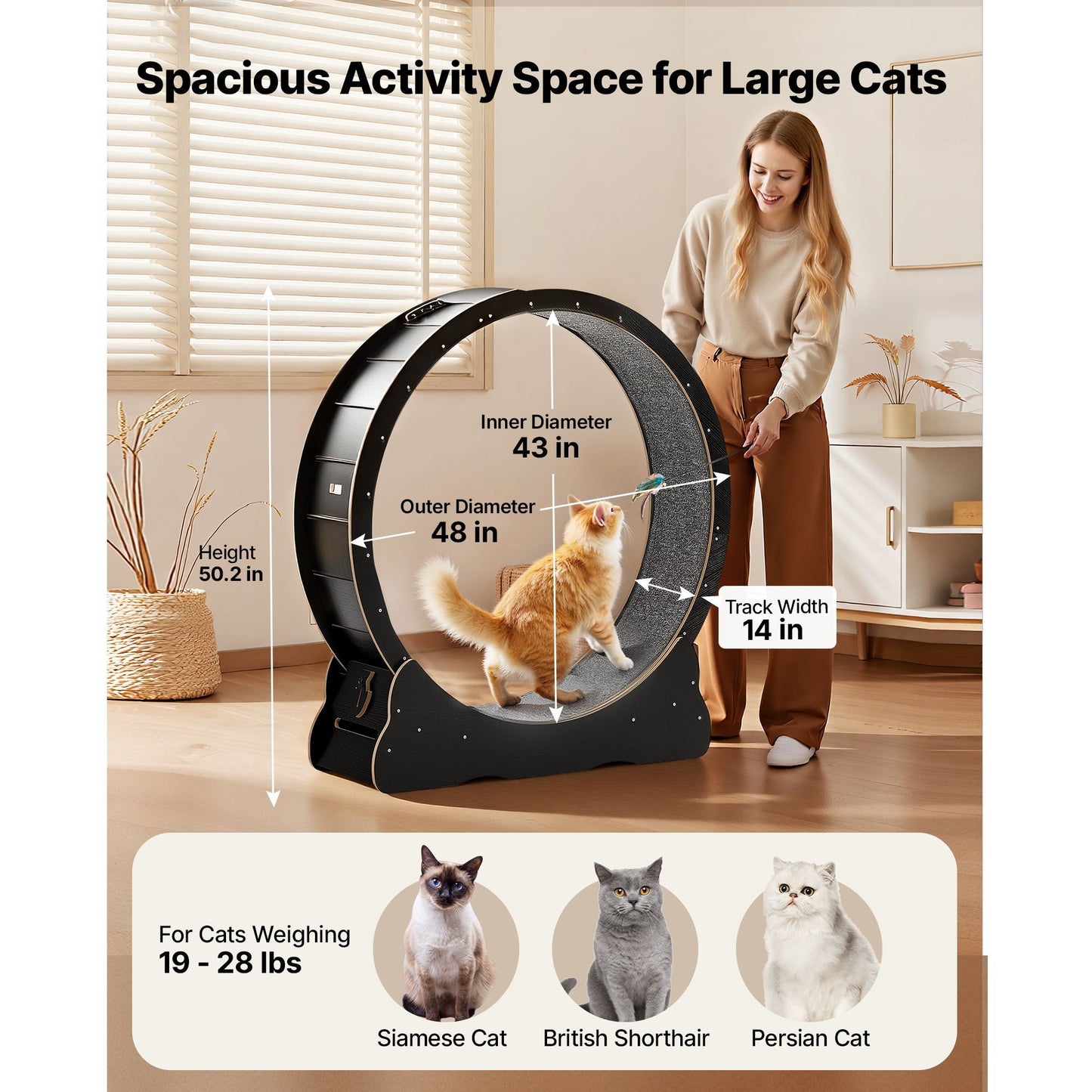 Cat Exercise Wheel, 48 in Wooden Cat Running Wheel for Indoor Cats