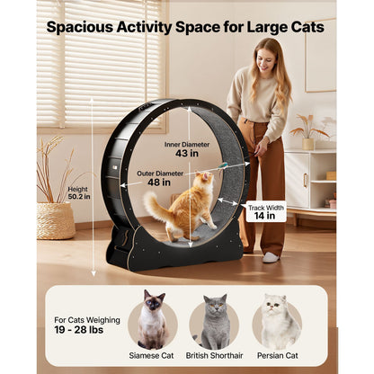 Cat Exercise Wheel, 48 in Wooden Cat Running Wheel for Indoor Cats