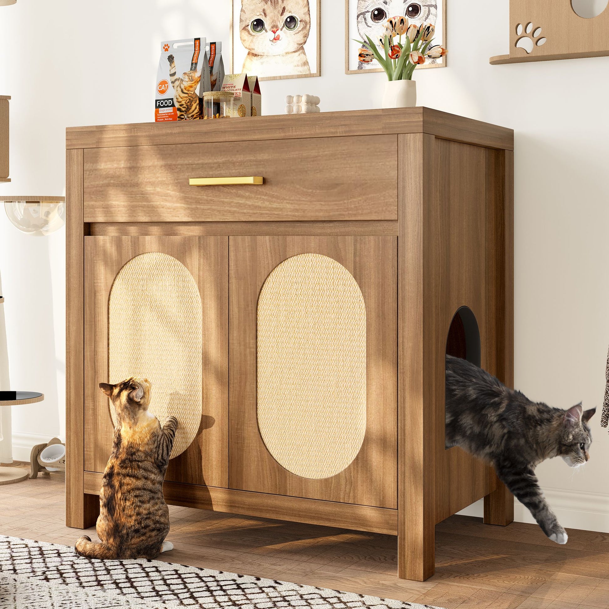 Cat Litter Box Enclosure, Hidden Cat Litter Box Furniture