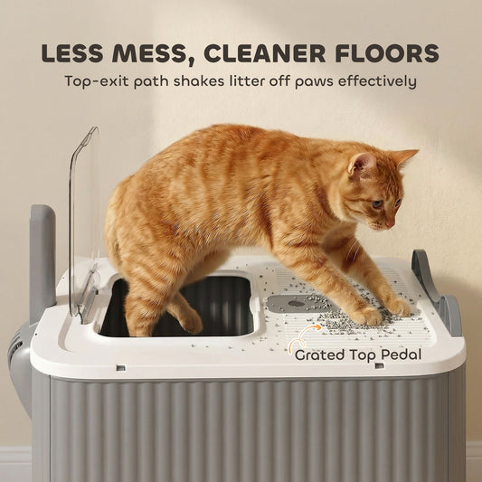 Cat Litter Box with Lid, Enclosed Litter Box for Medium Cats