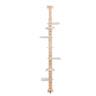 Cat Tree with a Platform on Top