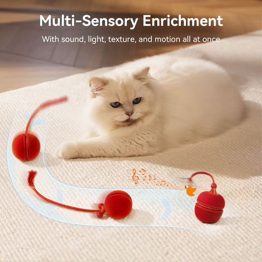 Automatic Interactive Cat Toy, Wicked Ball Duo2, 2 in 1