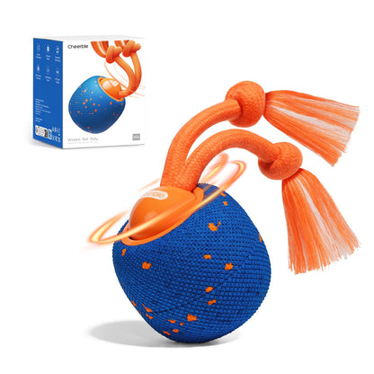 Interactive Dog Toy, Wicked Ball Rolly, Automatic Move, E-TPU
