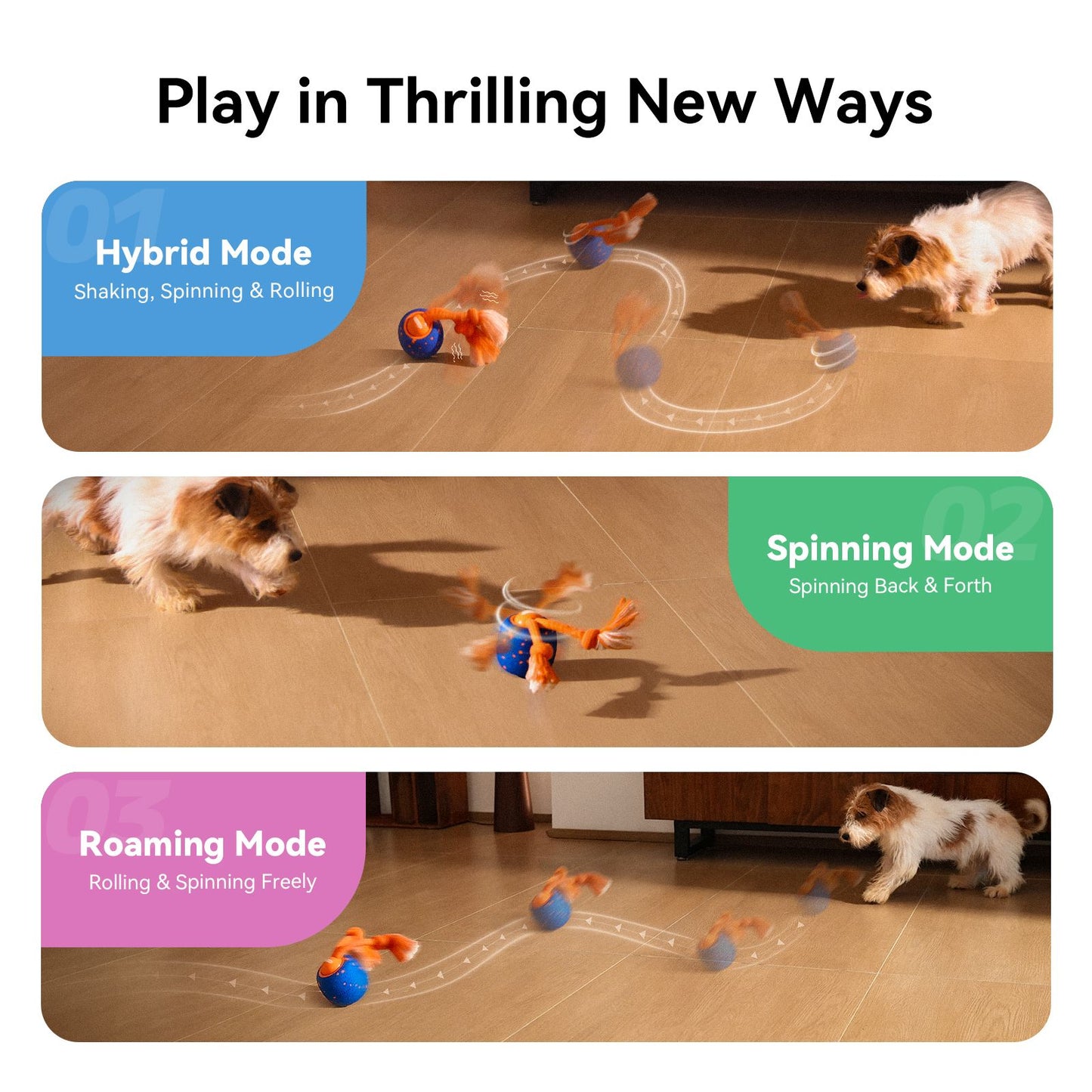 Interactive Dog Toy, Wicked Ball Rolly, Automatic Move, E-TPU