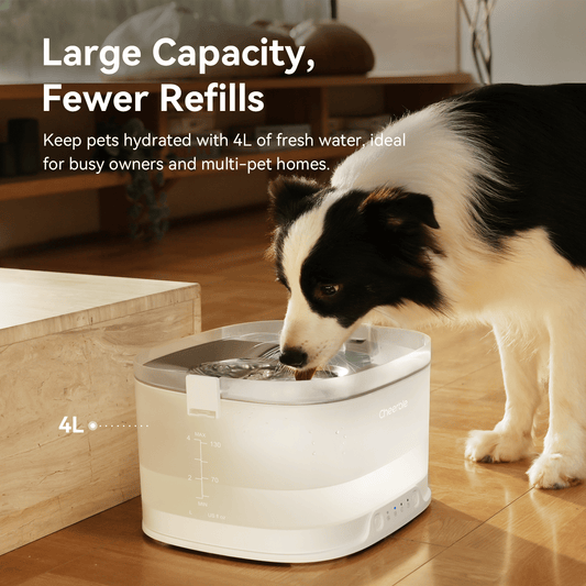 Pumpless Dog Water Elfin Fountain, Wireless Pet Fountain Battery