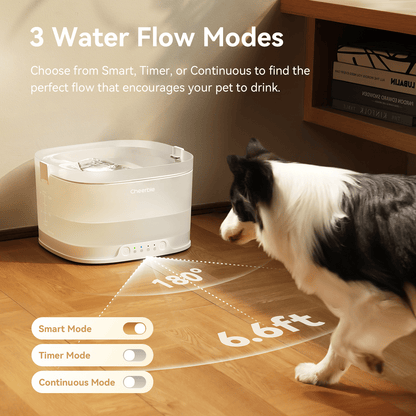 Pumpless Dog Water Elfin Fountain, Wireless Pet Fountain Battery