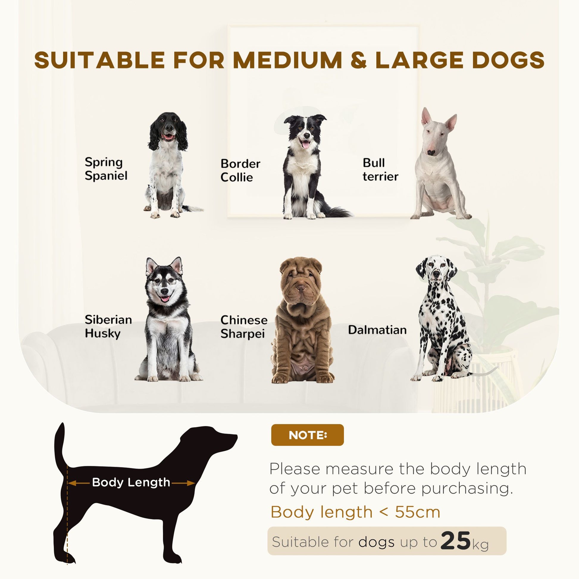 Comfortable Large Dog Couch Charcoal Gray with Foam Cushioning