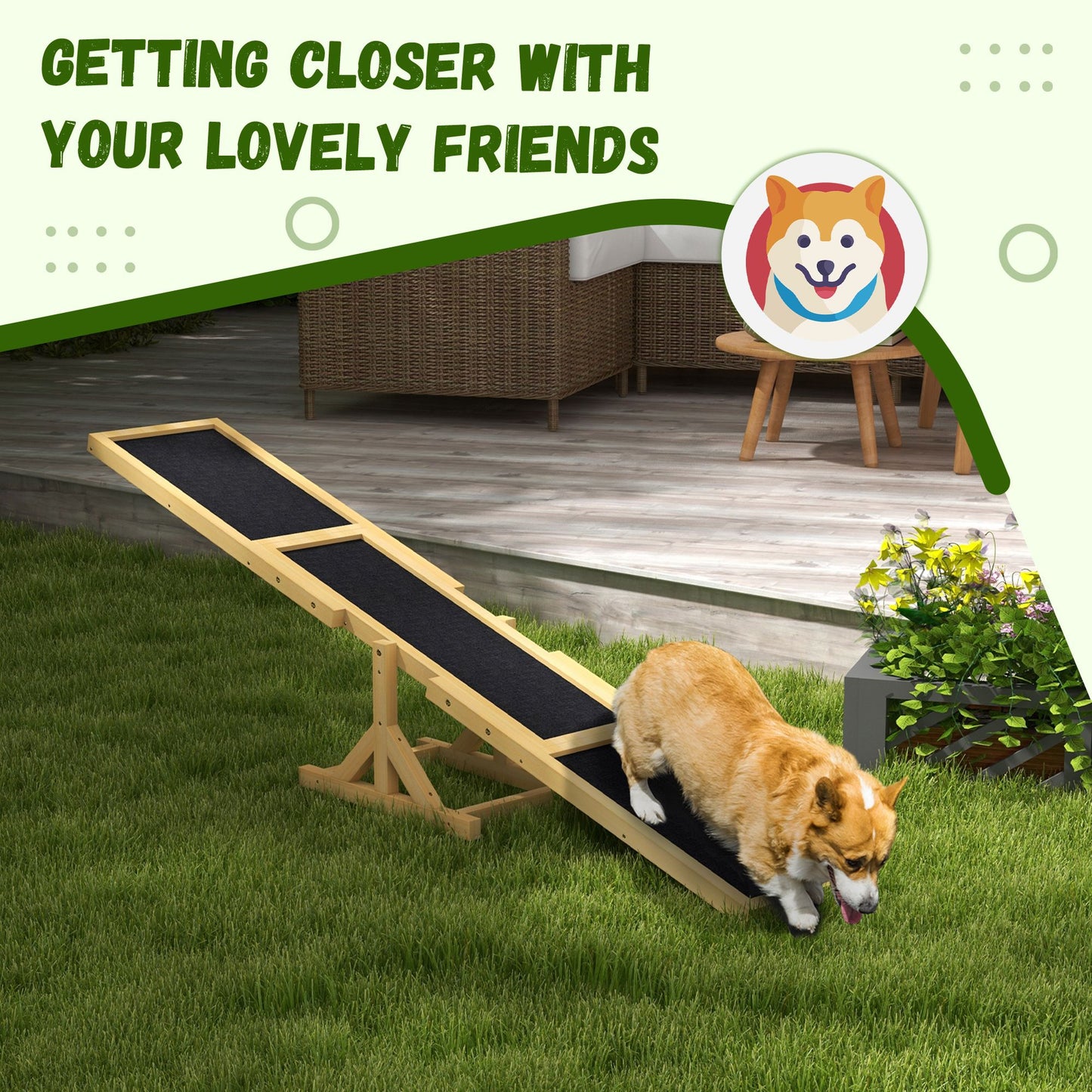 Dog Agility Ramp, Pet Seesaw