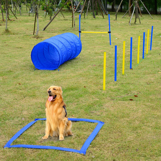 Dog Agility Tools 4PCS Set PE Jumps Stop Box Outdoor Training