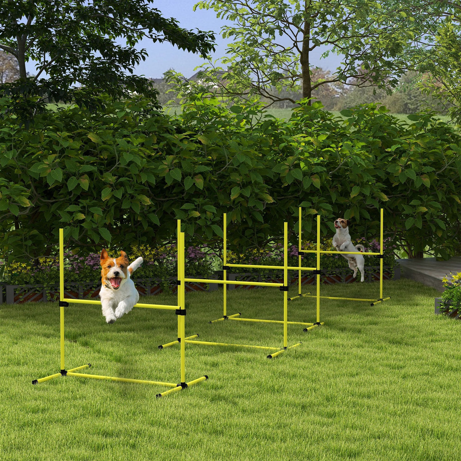 Dog Agility Training 4 Piece Set with Adjustable Height Jump Bars