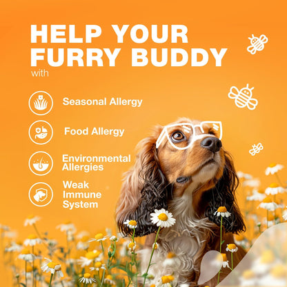 Salmon Oil Skin & Coat Chews for Dogs, Seasonal Support