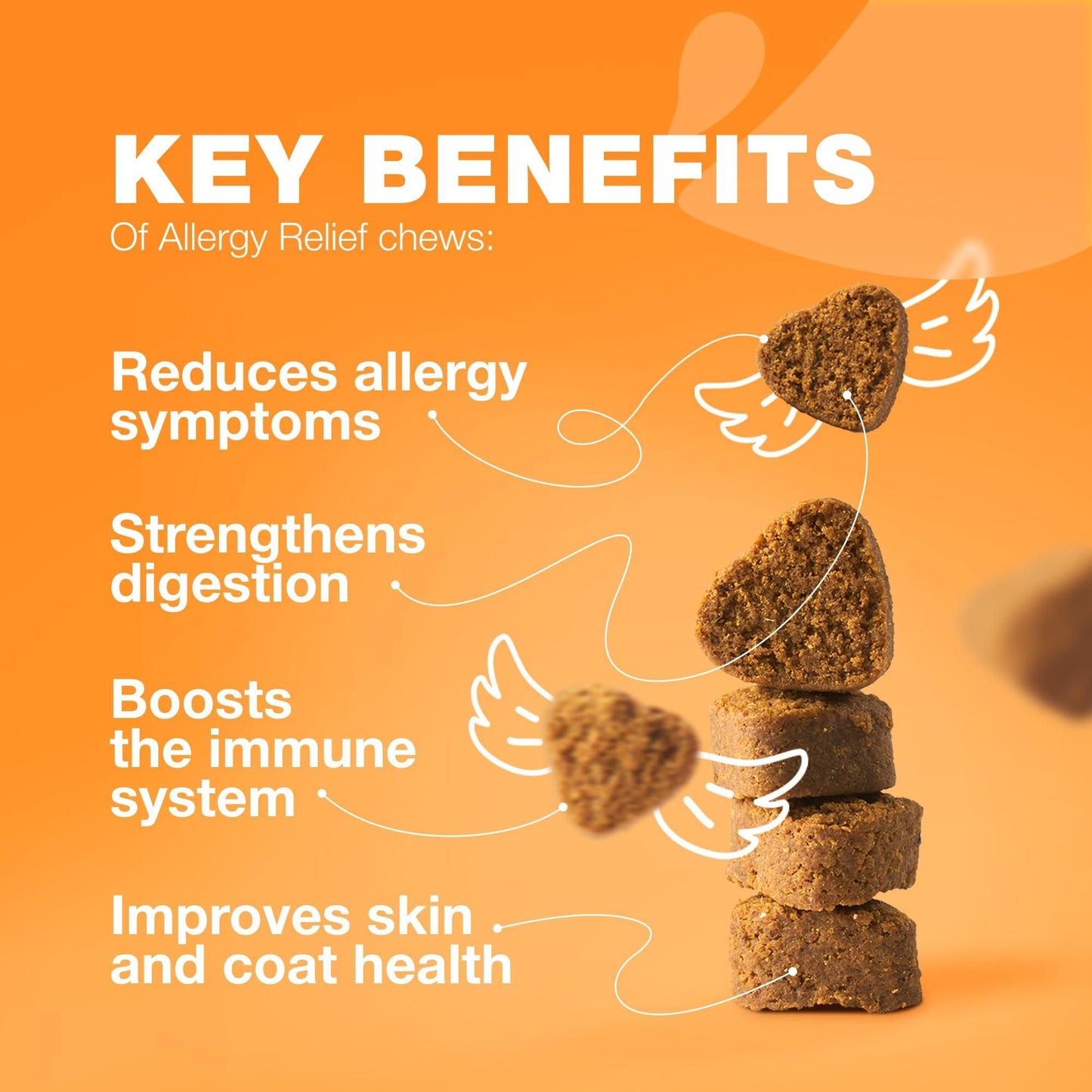 Salmon Oil Skin & Coat Chews for Dogs, Seasonal Support
