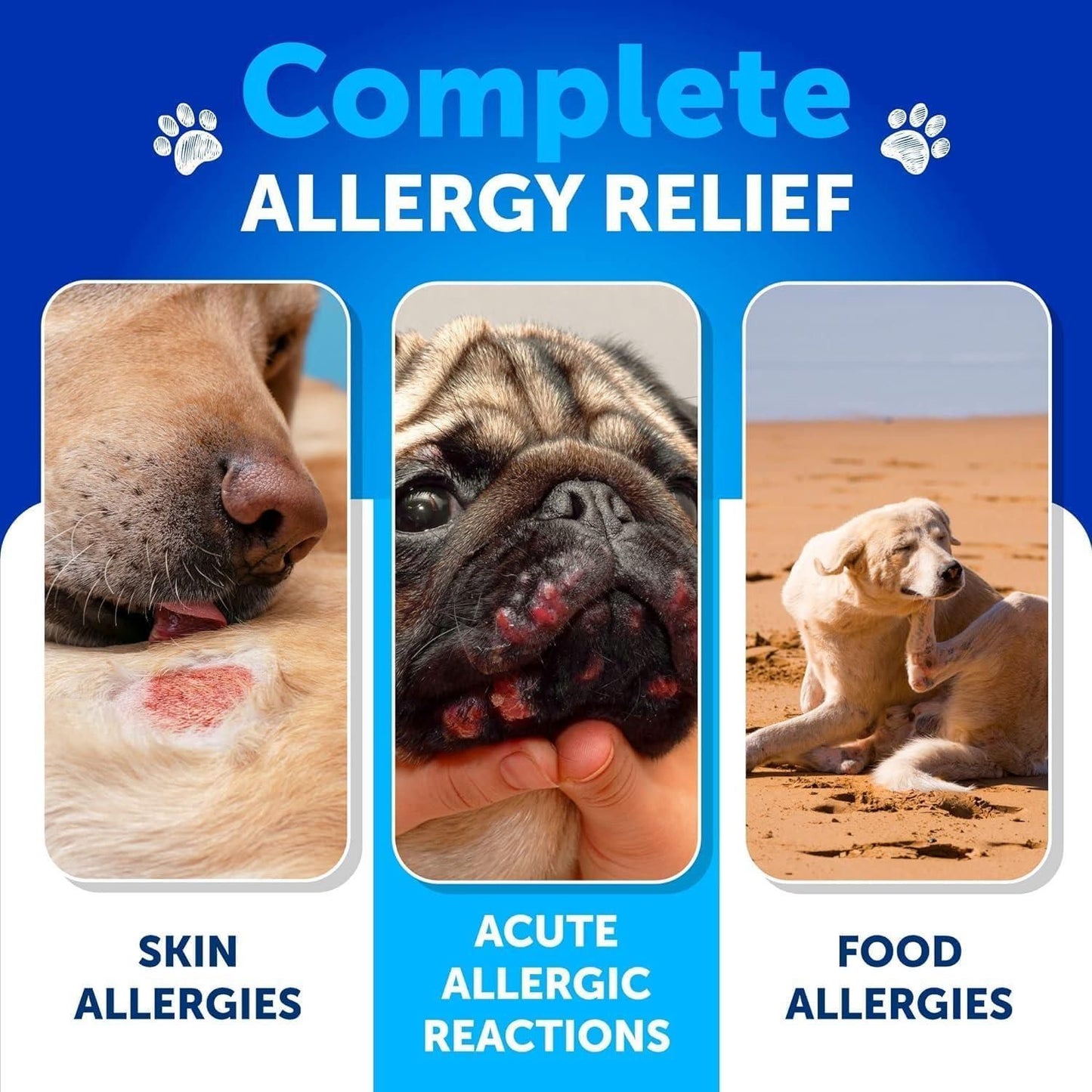 Skin & Coat Support Chews for Dogs, Omega-3 Fish Oil Blend