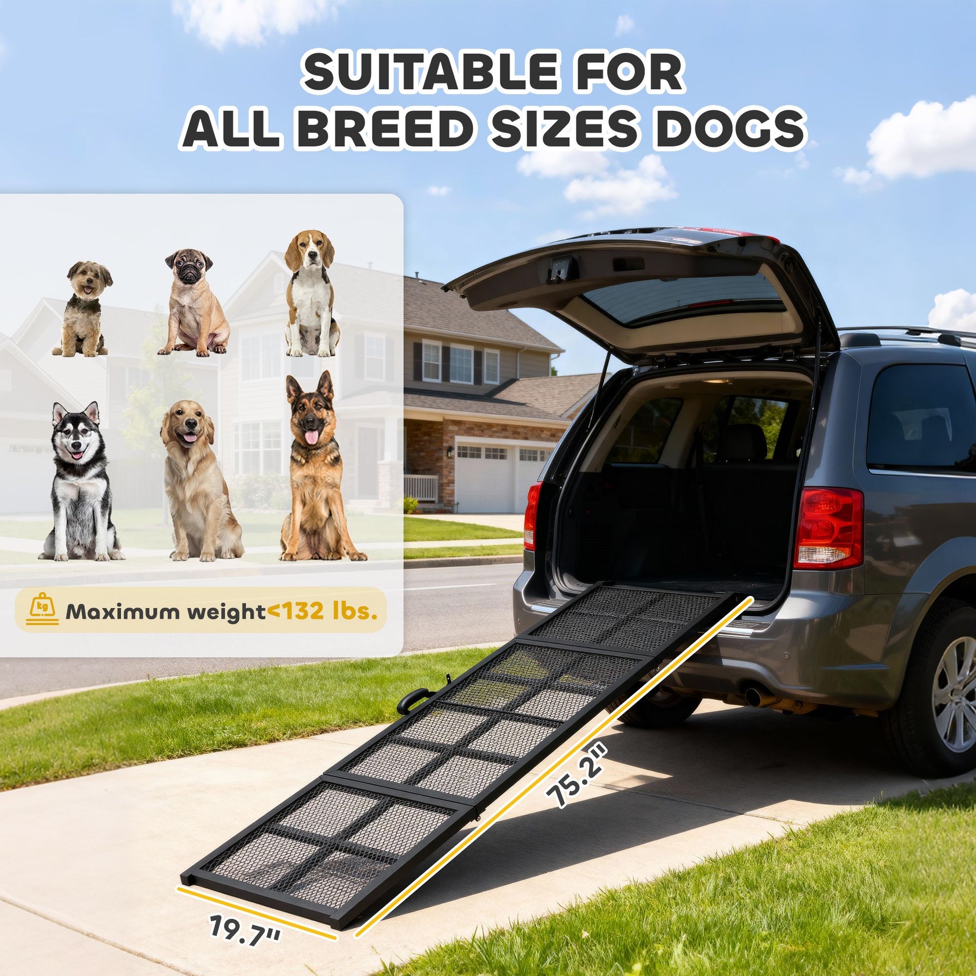 Dog Car Ramp, 75 Extra Long and Wide, Non-Slip Surface, Folding
