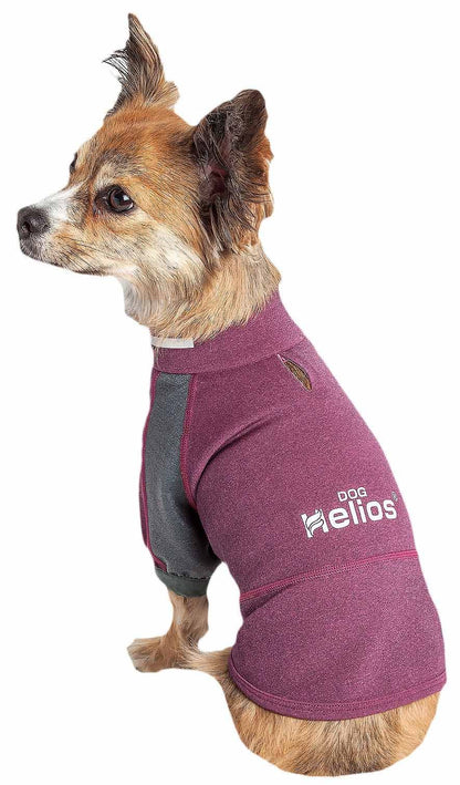 Dog Helios Mediumweight 4-Way-Stretch Flexible and Breathable Performance Dog