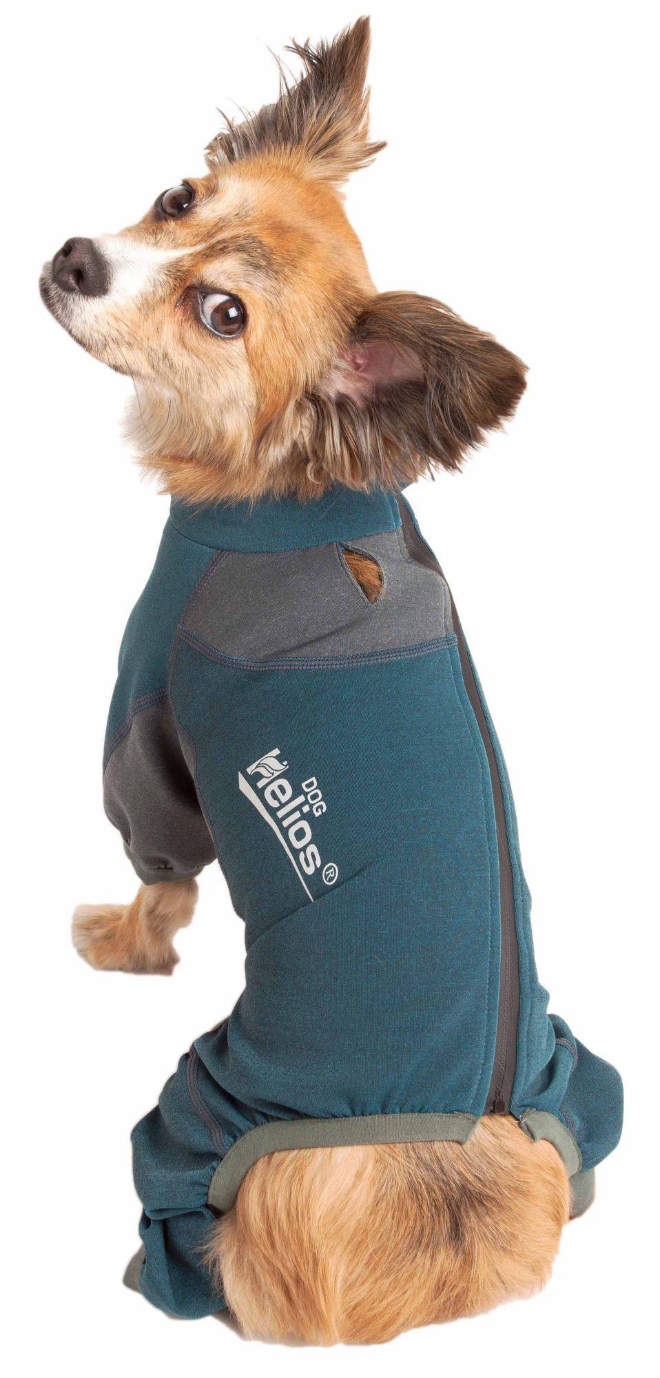 Mediumweight 4-Way-Stretch Breathable Full Bodied Performance Dog