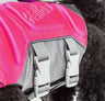 Dog Helios Multi-Point Strategically-Stitched Reflective Pet Dog Life Jacket