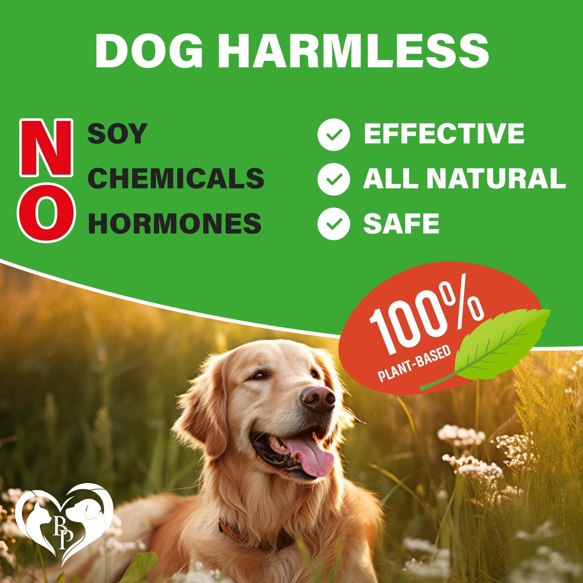 Hip & Joint Soft Chews for Dogs, Glucosamine Chondroitin MSM