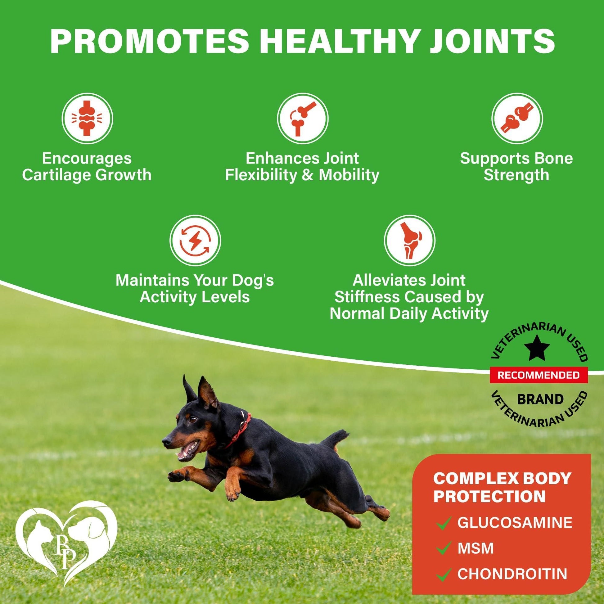 Hip & Joint Soft Chews for Dogs, Glucosamine Chondroitin MSM