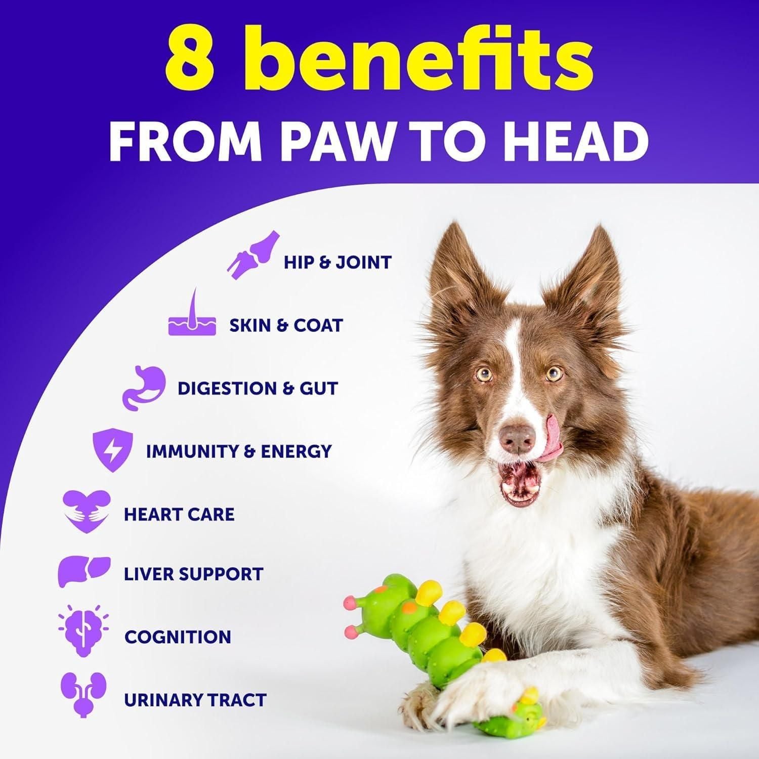 20-in-1 Dog Multivitamin Chews with Glucosamine, Puppy to Senior