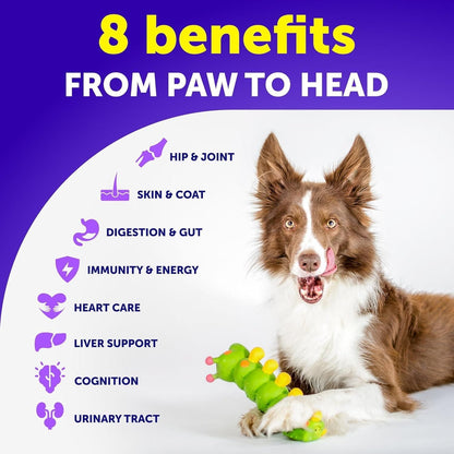 20-in-1 Dog Multivitamin Chews with Glucosamine, Puppy to Senior