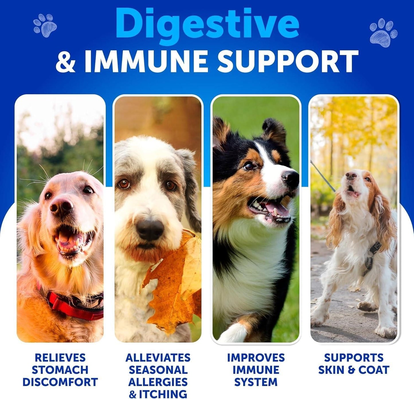 Dog Probiotic Chews with Prebiotics, Gut & Immunity Support
