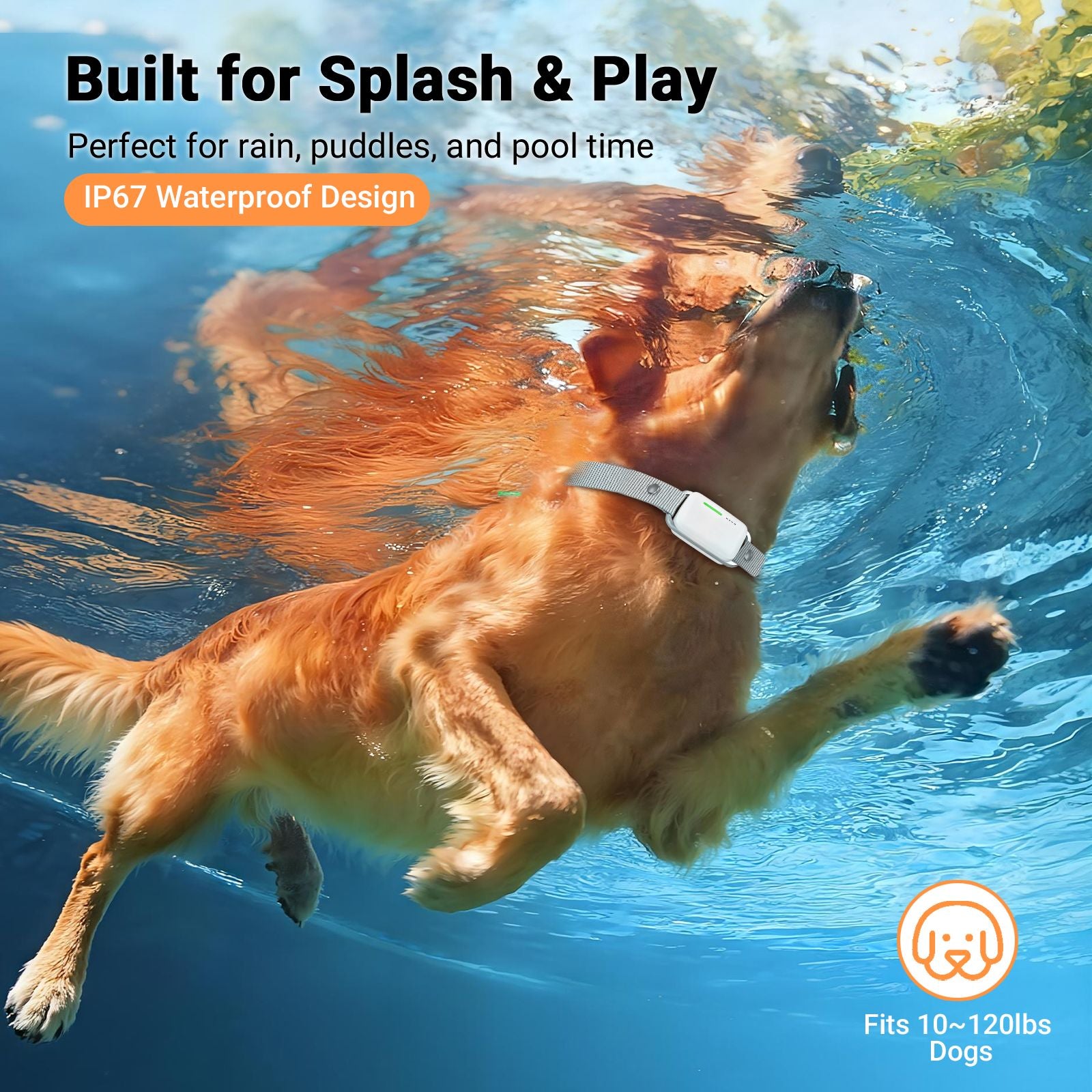Dog Shock Collar with Remote Control – 3 Training Modes with Custom