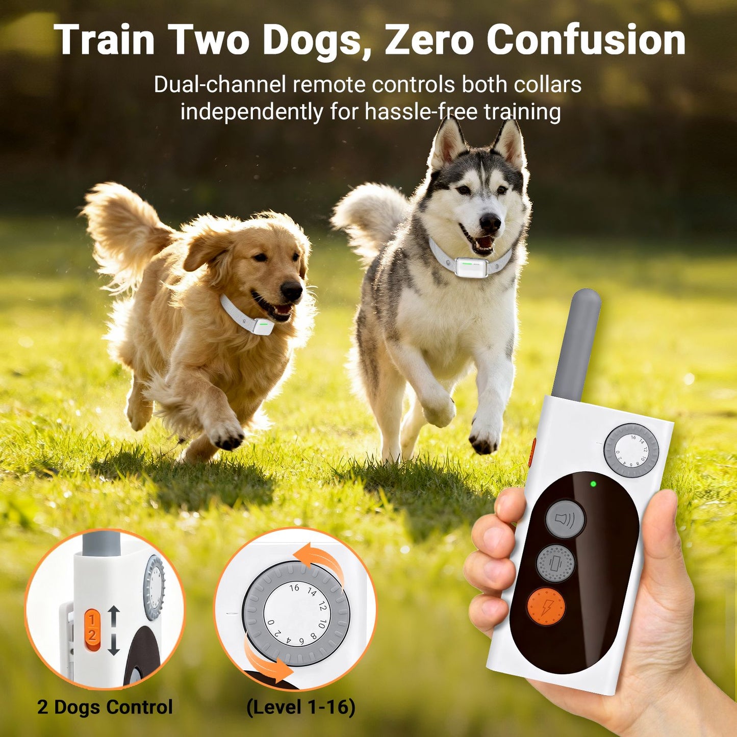 Dog Shock Collar with Remote Control – 3 Training Modes with Custom