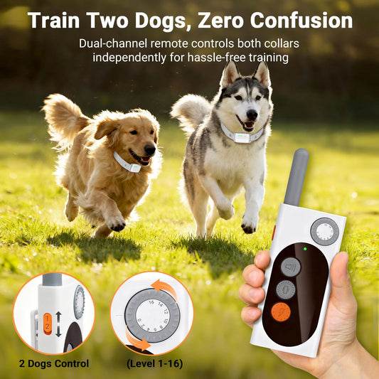 Dog Shock Collar with Remote Control – 3 Training Modes with Custom