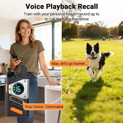 Dog Shock Collar with Remote Control, Dual Dog Control