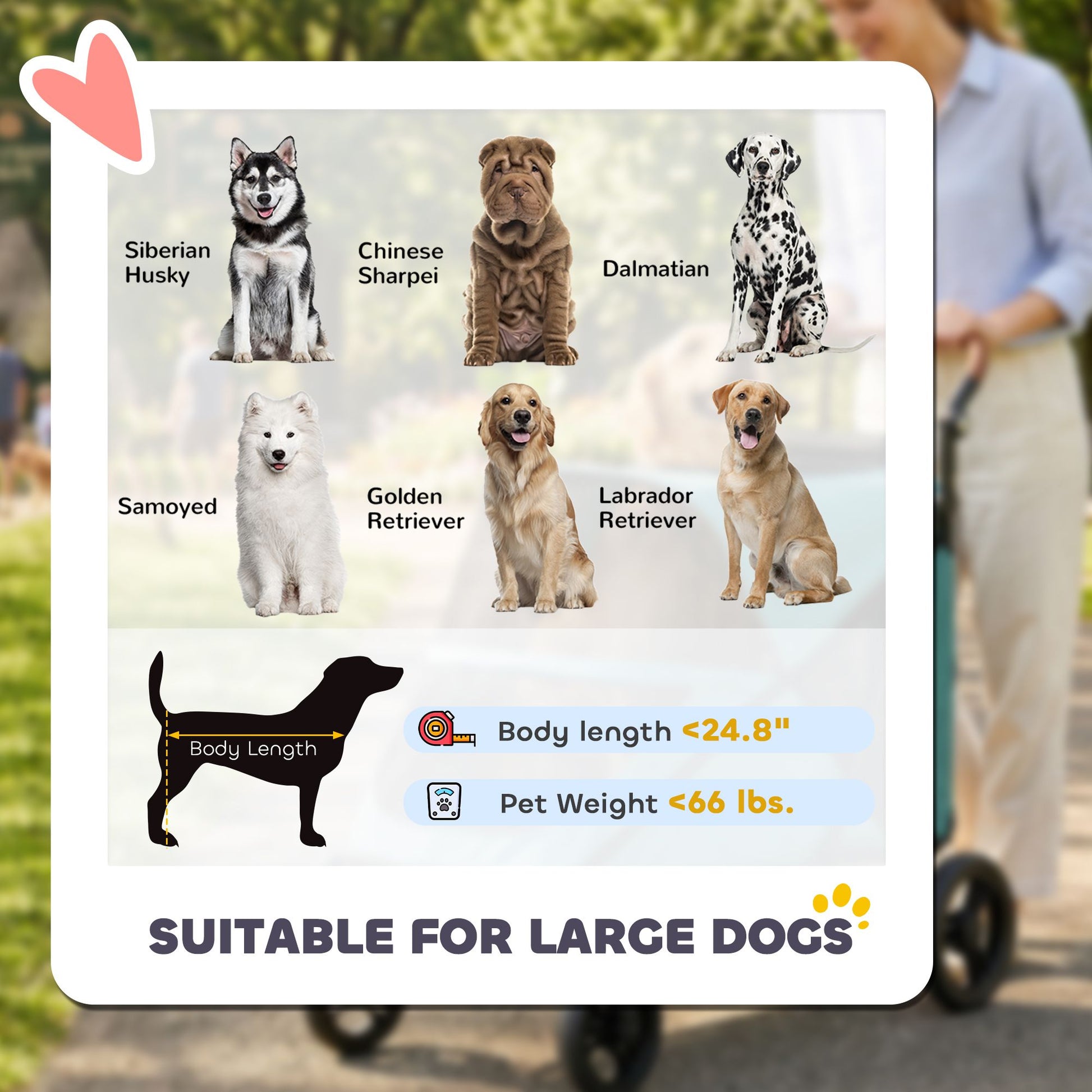 Dog Stroller for Large Dogs up to 66 LBS with All-Terrain Spring