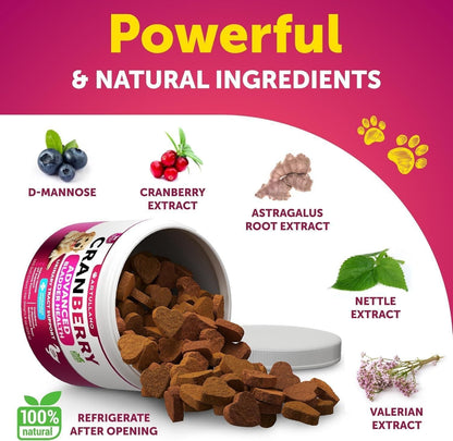 Cranberry Bladder Support Chews for Dogs, Urinary Health 2 Pack