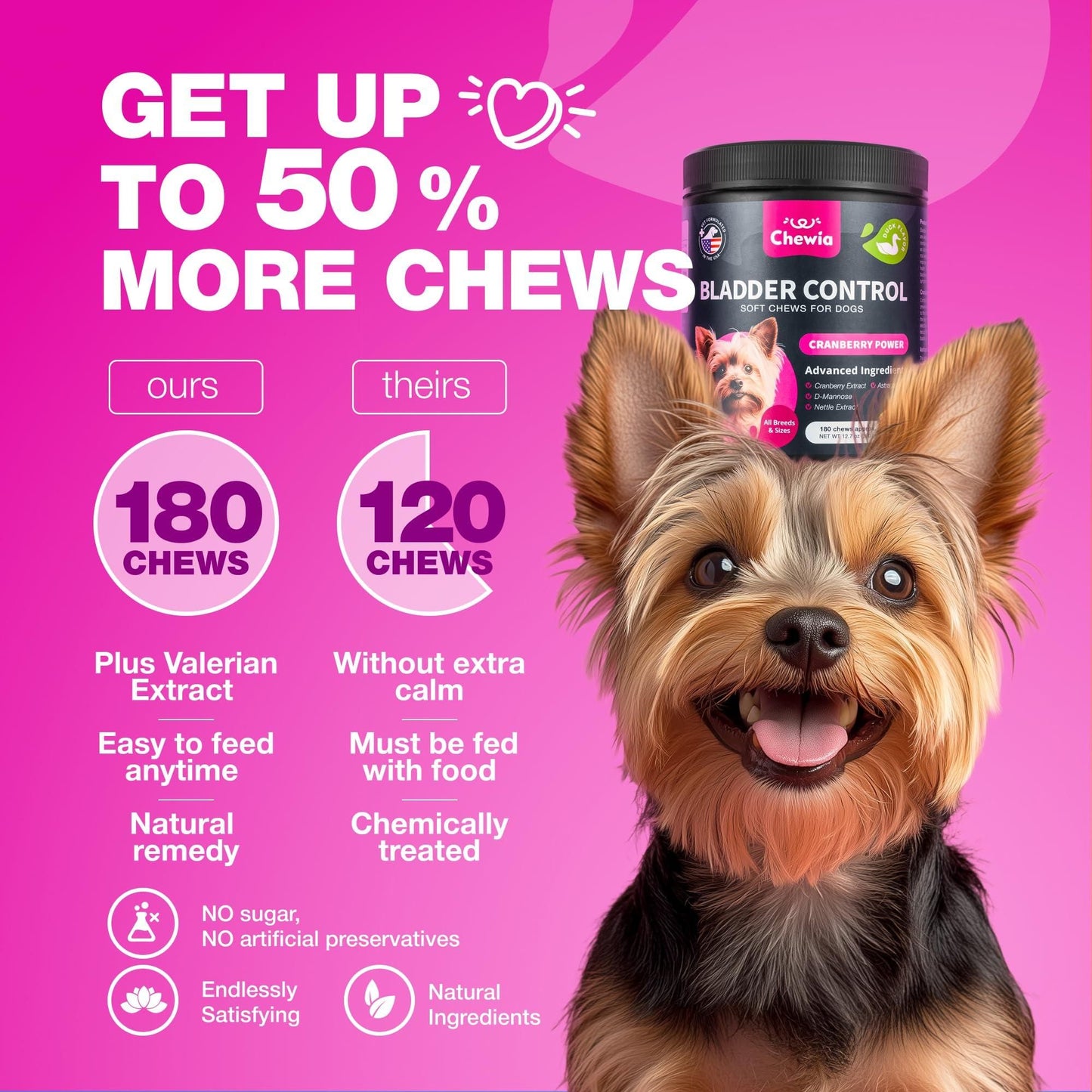 Cranberry Bladder Support Chews for Dogs, Kidney & Urinary