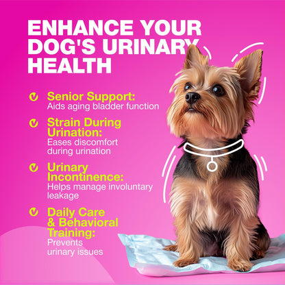 Cranberry Bladder Support Chews for Dogs, Kidney & Urinary