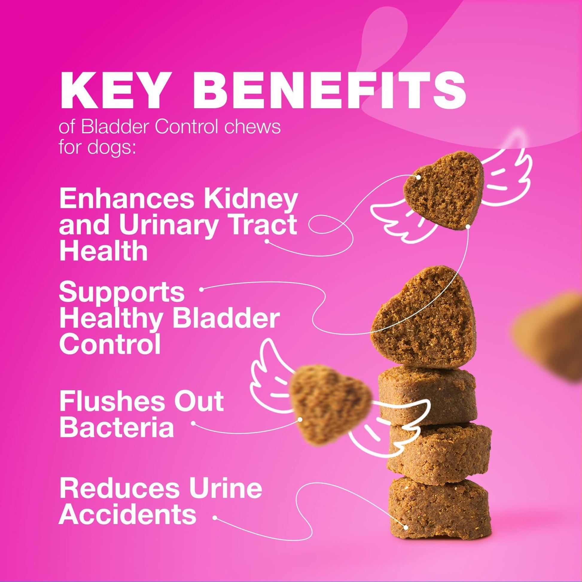 Cranberry Bladder Support Chews for Dogs, Kidney & Urinary