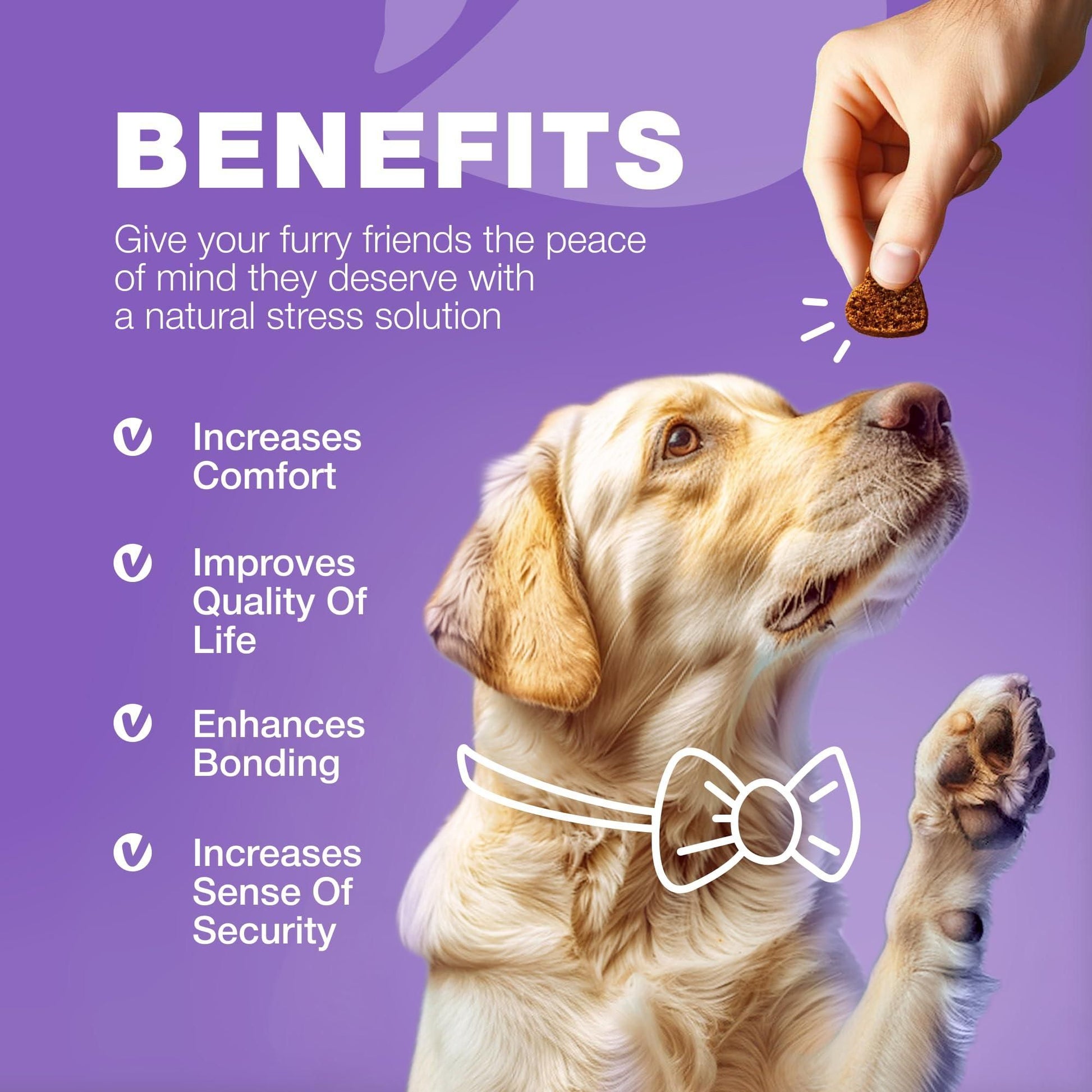 15-in-1 Dog Multivitamin Chews with MSM, Skin, Coat & Joint