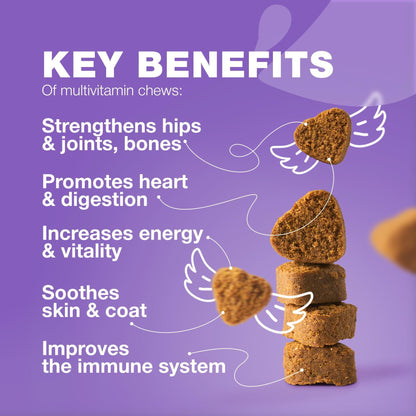 15-in-1 Dog Multivitamin Chews with MSM, Skin, Coat & Joint