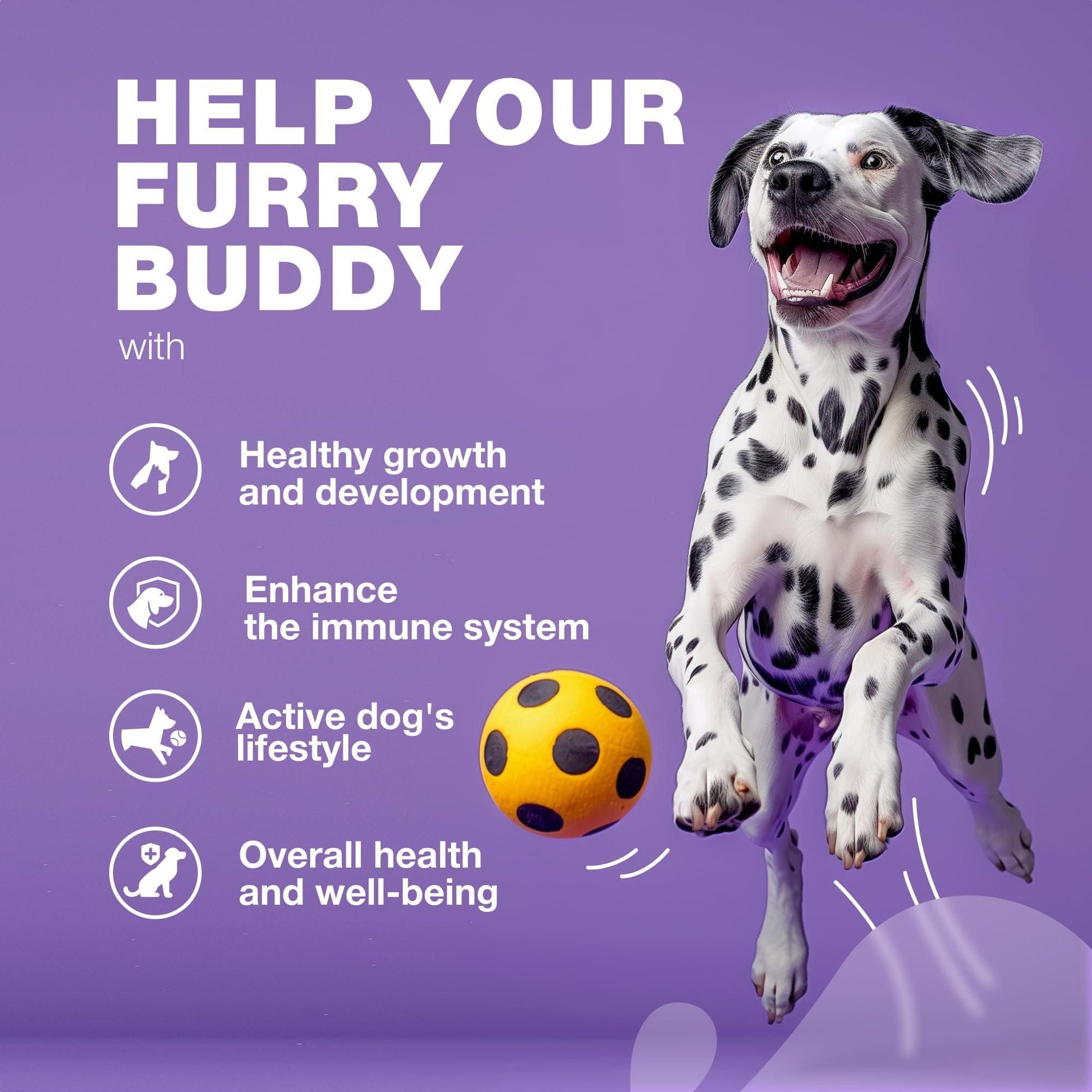 15-in-1 Dog Multivitamin Chews with MSM, Skin, Coat & Joint