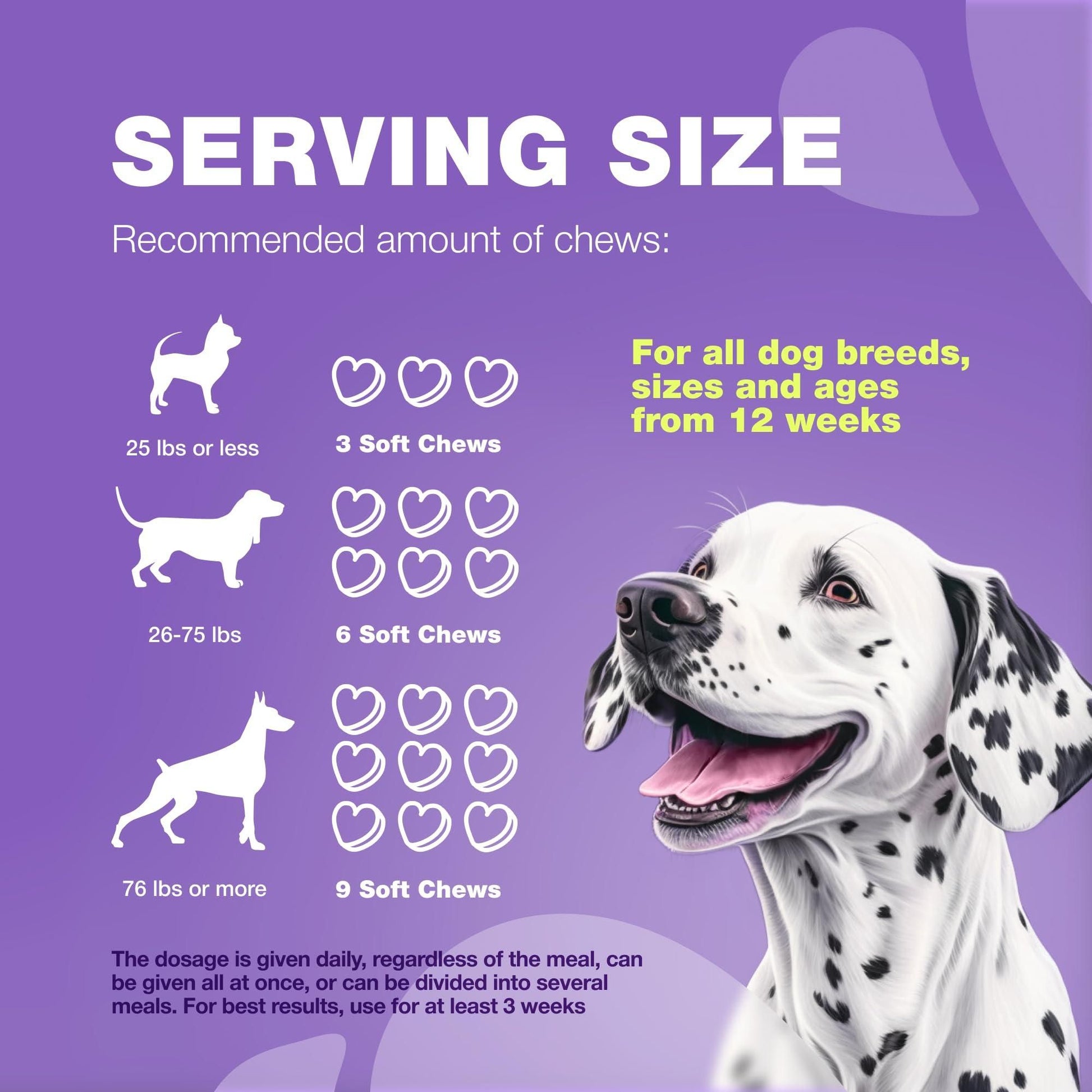 15-in-1 Dog Multivitamin Chews with MSM, Skin, Coat & Joint